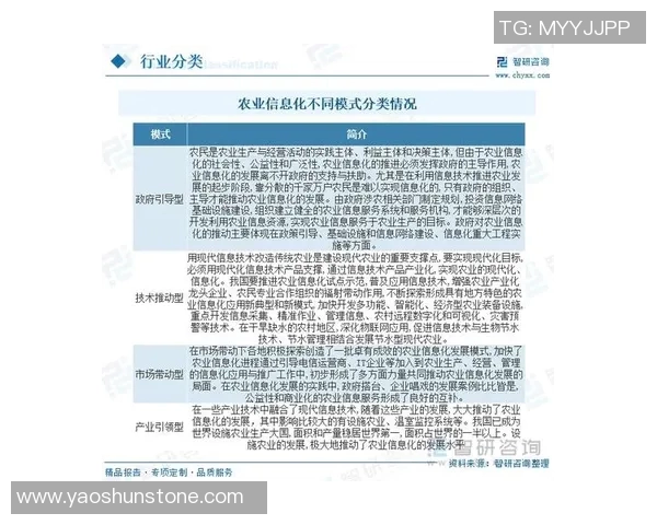 聚焦网络建设与数字化转型推动经济发展新动能的战略路径分析