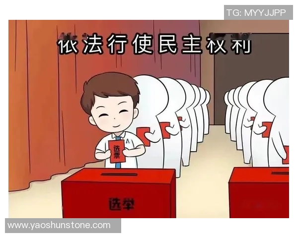 选举制度改革与民主发展的关系探析：从选举公平性到选民参与度的全面考量