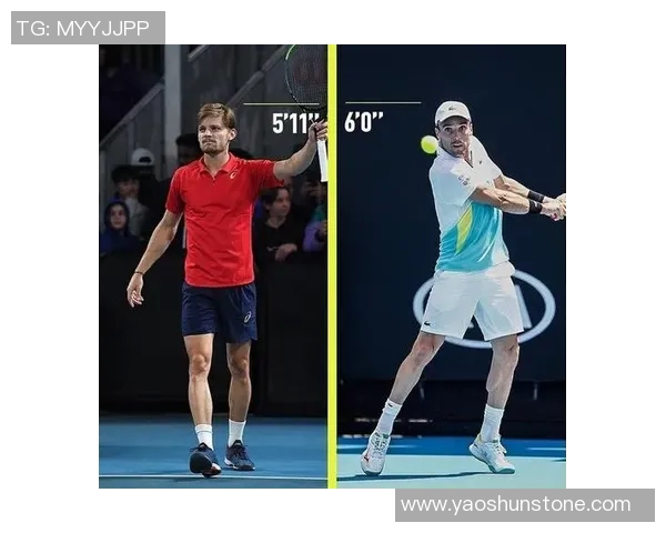 对话王磊:回顾网球生涯的辉煌与挑战之路 对话王磊:回顾网球生涯的辉煌与挑战之路