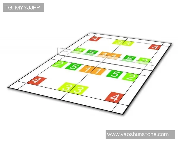 南京羽毛球队控制打法深度分析与战术探讨